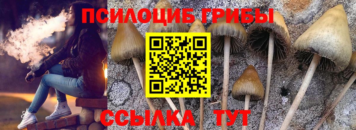 Галлюциногенные грибы мухоморы Ефремов